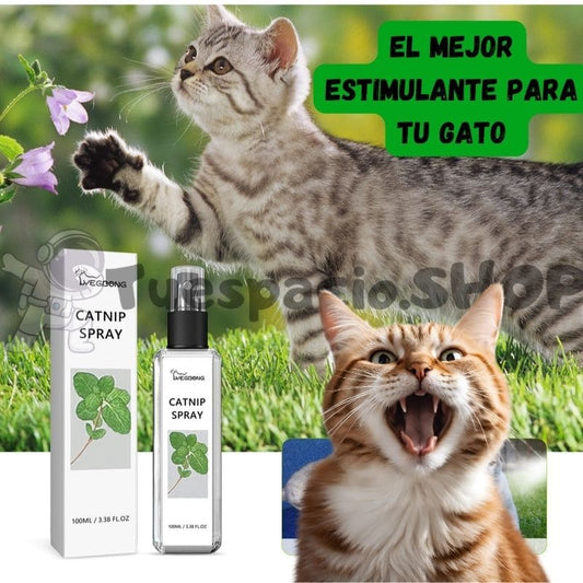 CATNIP SPRAY ®   estimulante magico para tu mejor amigo